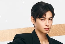 "차은우도 엄마도 징역형 위기"...현직 변호사가 본 '200억 탈세' 심각성