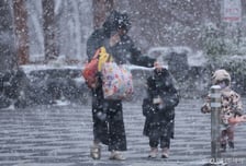 2021년생 가정양육 아동 1만5961명 '전원 안전' 확인