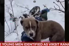 "주인 깨워주세요"… '-10도' 히말라야에서 시신 지킨 반려견의 96시간