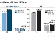 '메모리값 폭등'에도 아이폰 값 '동결'…갤럭시는 '인상', 성적표 탓?