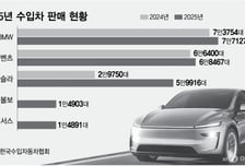 수입차 시장 테슬라 질주… 작년 5.9만대 팔며 3위 '우뚝'