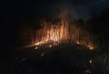 '건조 경보' 강원 동해 산불…1시간여 만에 주불 진화