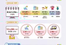 작년 온라인쇼핑 272조, 역대 최대…'티메프' 여파에 이쿠폰 28%↓