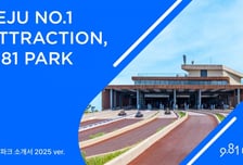 9.81파크 제주, 지난해 성장·수익성 동반 상승하며 최대 실적