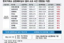 상장예심 하세월…IPO 지연에 '속타는' 창업자, '답답한' 투자자