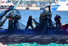 수협, 어선 안전 로드맵 가동…인명피해 절반으로 줄인다