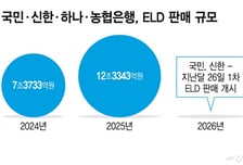 코스피 5000에 소외된 은행권…"ELS 하세월에 ELD라도"