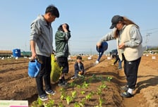 "서울 자투리 텃밭 가꿔보세요"…도시텃밭 9016구획 분양