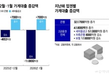올해도 7000억 대출 '폭주'한 새마을금고..당국 "실질적 패널티 논의"