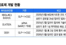 국산 MASH 신약 성적표 공개 임박…기존 '레즈디프라' 한계 넘나