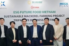 '1달러 고등어' 식탁에 올린다…한국·일본·베트남 3국 기업 맞손