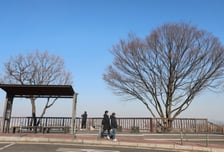 [내일 날씨] 절기상 '입춘' 낮 최고 12도…전국 영상권 회복