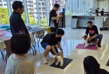 전문대, '글로벌 인재' 산실로 거듭나다