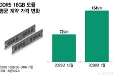 비수기 잊고 뛰는 D램… K반도체 수익성 '날개'