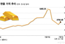 투자자 몰리며 '단기 투기용' 전락… 안전자산 입지 흔들