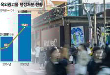 불나면 화르륵… 핫플 덮은 불법 현수막