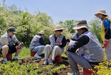 서울시, 한강공원 자원봉사자 모집…개인 165명·단체 70팀