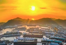 친환경 암모니아 선박 뜬다…해수부, 세계 시장 선도 '시동'