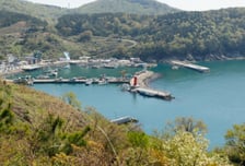 "해상·토목 기술력 이미 입증"…대우건설, 가덕도신공항공사 문제 없다