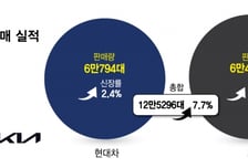 친환경차 한국·미국 모두 '질주'…현대차·기아 또 역대급 실적