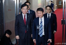 [속보]여야, '대미투자특별법' 특위 구성…국민의힘, 비준 동의 주장 철회