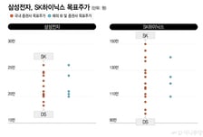 "지금 사도 싸다" 26만전자·150만닉스 일낸다?...목표가 쑥