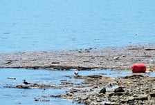 깨끗한 바다 조성 위해 해양폐기물 관리 더 '촘촘히'…발생원에 주목