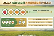 NH농협손보, 사과·배 등 과수 4종 농작물재해보험 판매