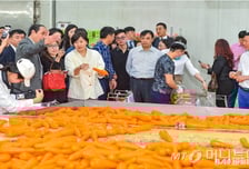 농업ODA 패러다임 바뀐다…기업 해외진출 돕고,국제기구 협력 강화
