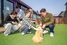 반려동물 비용 걱정 없이 맡긴다…동대문구 '우리동네 펫위탁소' 운영