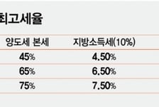 양도세 다음 카드는 보유세?...추가 대응책, 언제 어떻게 꺼낼까
