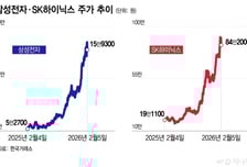 반도체·방산株에 무슨 일? 계좌 본 개미 '깜짝'…증권가는 "걱정말라"