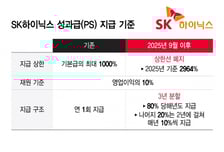 "월급쟁이 성과급 어마어마" 의사보다 잘 번다...판 흔드는 SK하닉