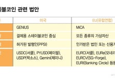 美·유럽 달리는데… '무법'에 갇힌 한국