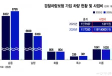 "경찰차 1만7350대? 우린 빠질게요"…보험사들 외면하는 이유