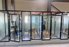 "냄새나, 가위바위보 해"...동물보호소 봉사 온 40명 학생들 '눈살'