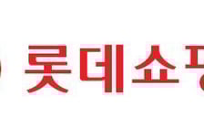 롯데쇼핑 작년 영업익 15.6% 증가…"주요사업 실적 개선"