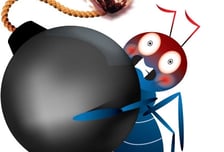 "갑자기 11만전자" 장 열리자마자 '하한가'...멘붕 빠진 개미들 '패닉셀'