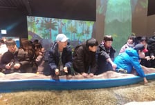 '영등포구 어린이 문화체험단' 25명 친선도시 청양군 방문