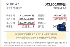 "빚만 3.9억" SK하이닉스에 5억 태운 공무원…"광기" 베팅 결말은