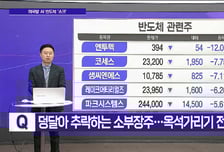 [메가사이클] 나흘 만에 또 '매도 사이드카'