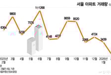규제에 눌린 거래·타이밍 재는 돈줄…서울 집값 향방은