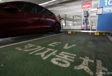 이러다 전기차 내수 '50% 벽' 무너져.."저가 경쟁 대비, 국산 지원 확대"