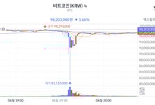 "빗썸 왜 이래" 2000원 주려다 2000 BTC 쐈다(?)...비트코인 한때 -15%