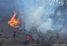 경주 산불 '국가동원령 발동'…민주당 "피해 지역 복구에 힘 다할 것"