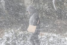 하늘길 끊기고 낙상·교통사고 속출…폭설·강풍 덮친 제주, 신고 쏟아졌다