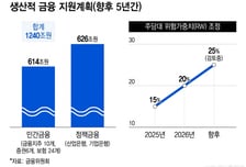 "어차피 집 못 사" 다 주식 몰빵…'5만전자'에 증시 떴던 개미 U턴