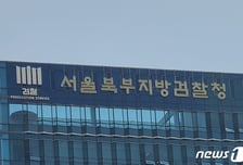 가상자산 사기 사이트로 8억원 뜯어내…개발자 구속기소