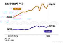 'V자 급등락' 국내 증시 대응 어떻게?…"이 주식들 사모아라"