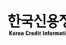 "설 연휴 첫날·마지막날 오전시간 피해 보험 가입하세요"